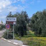 ...una variet� autoctona delle campagne pugliesi e in particolare di Bitetto, paese a sud di Bari 